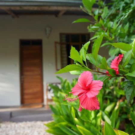 Kendwa Breeze Bungalows Εξωτερικό φωτογραφία
