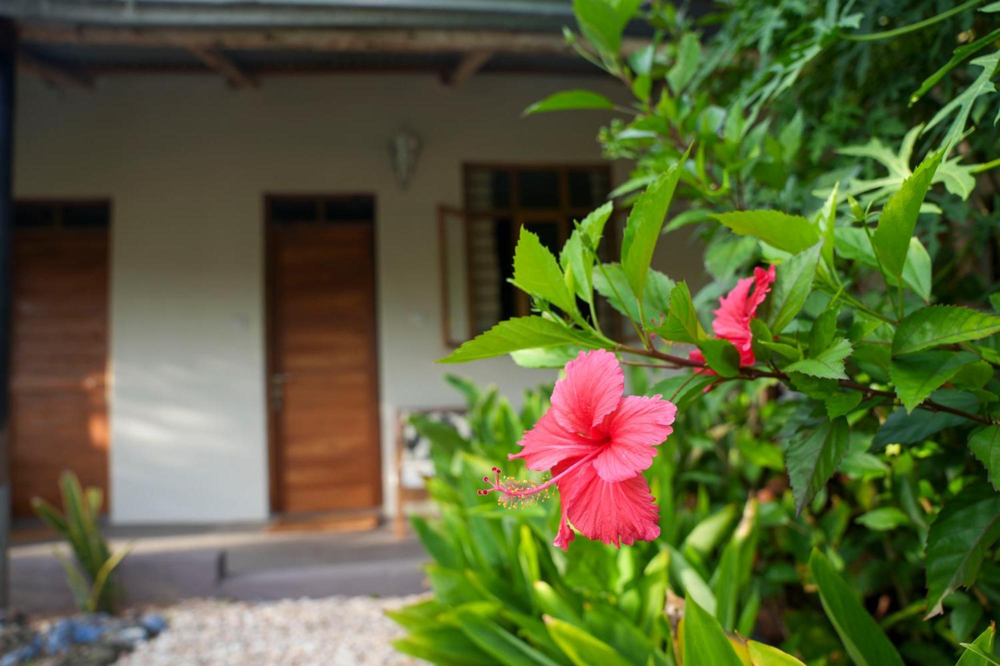 Kendwa Breeze Bungalows Εξωτερικό φωτογραφία