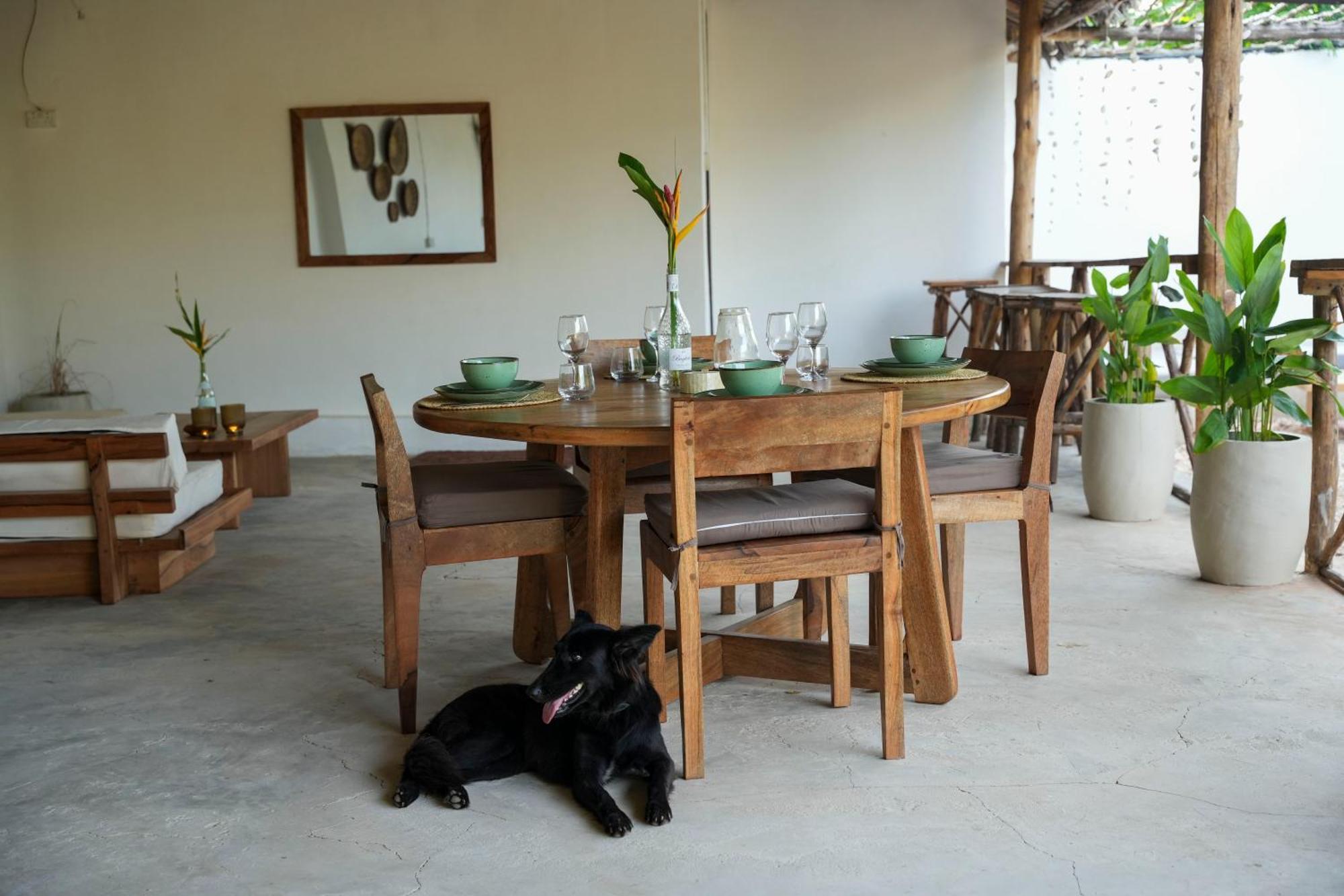 Kendwa Breeze Bungalows Εξωτερικό φωτογραφία